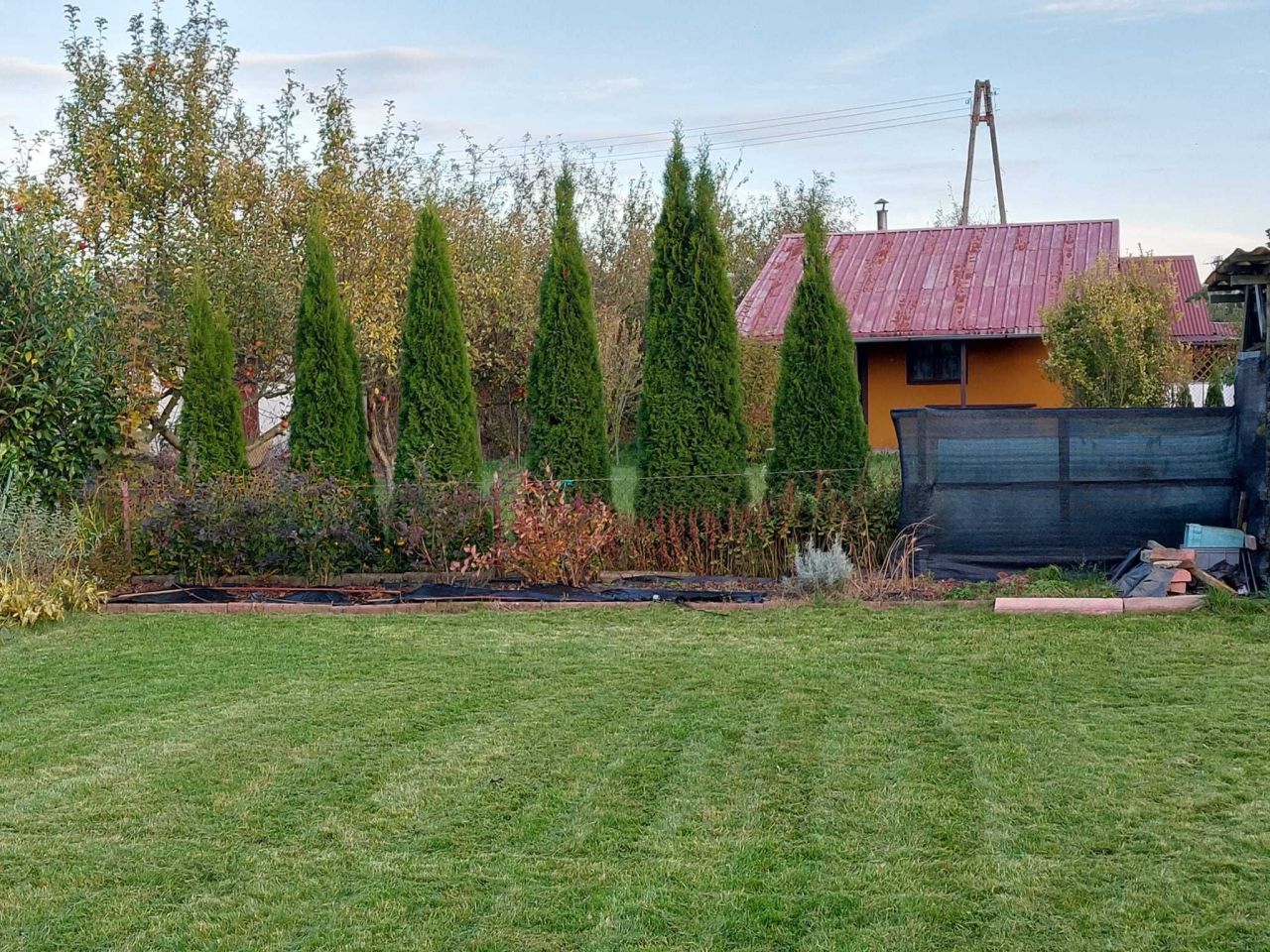 Działka rod Nysa, ul. Adama Mickiewicza. Zdjęcie 4