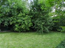 Działka rod Słomin, Wierzbowa 2. Zdjęcie 3