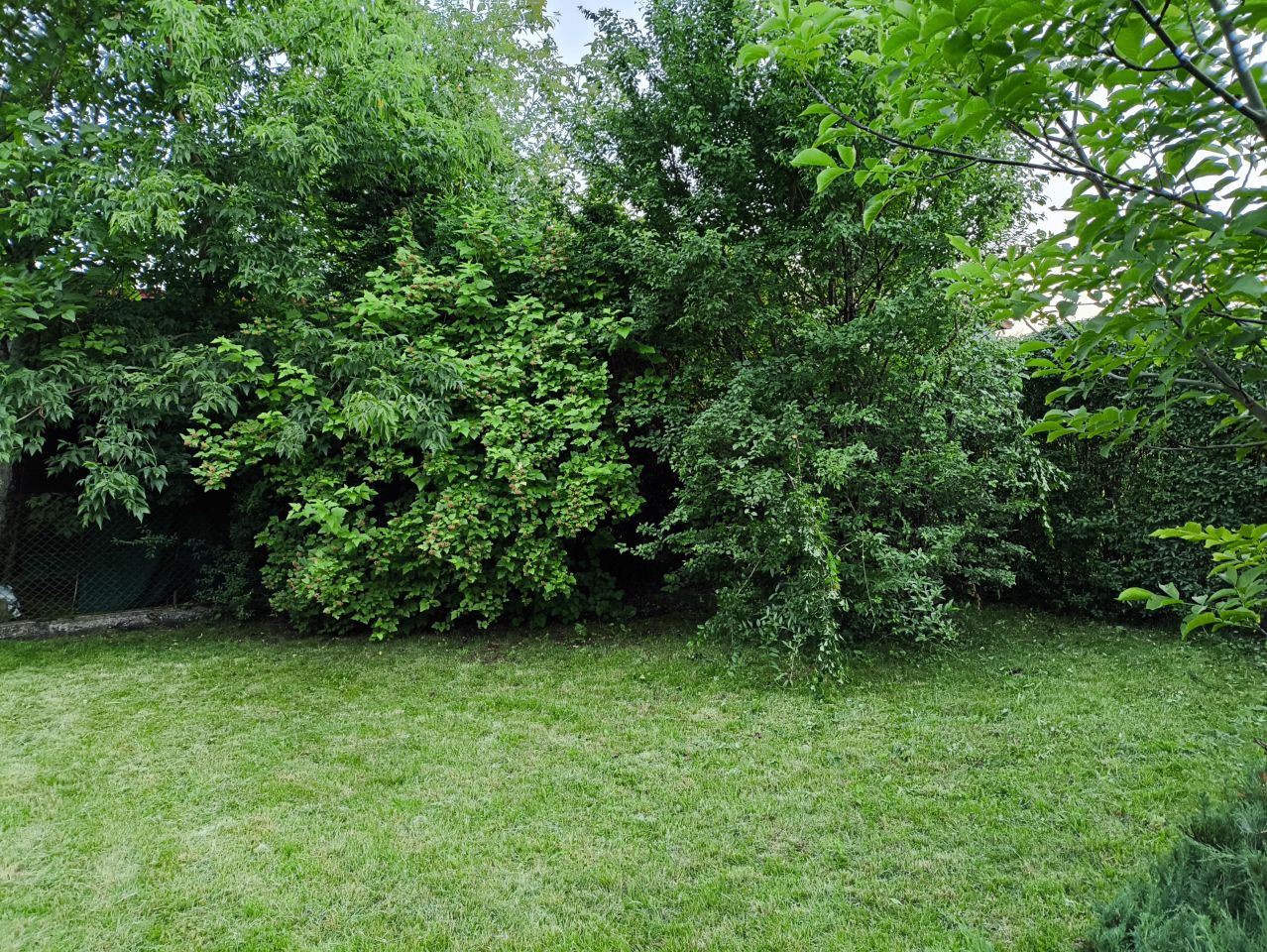 Działka rod Słomin, Wierzbowa 2. Zdjęcie 4