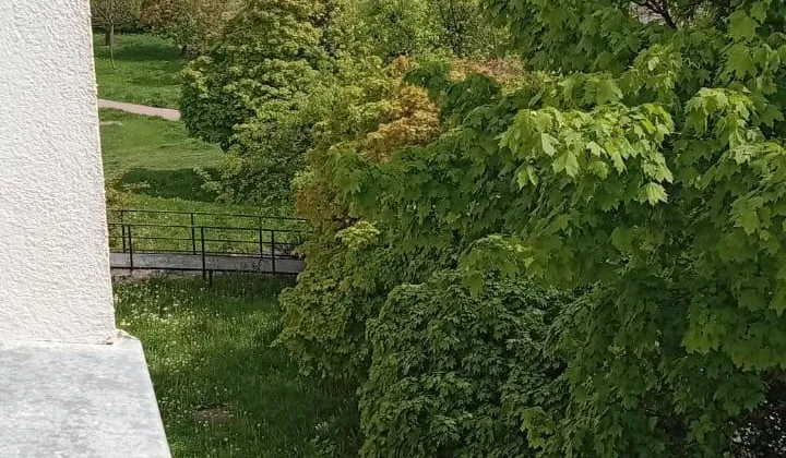 Mieszkanie 2-pokojowe Chełm, ul. Wojsławicka