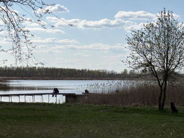 Działka leśna Sumin. Zdjęcie 1