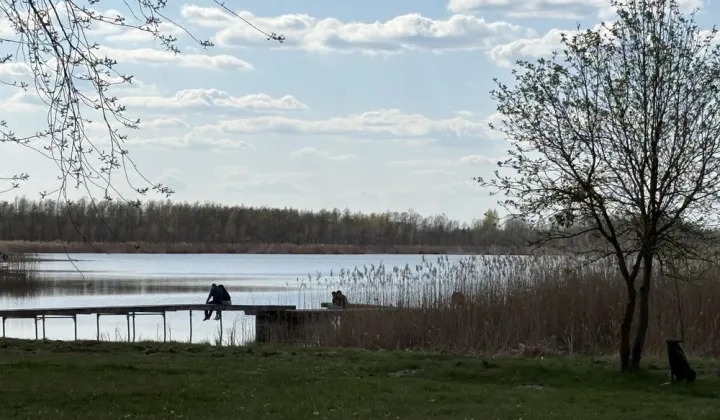 Działka leśna Sumin