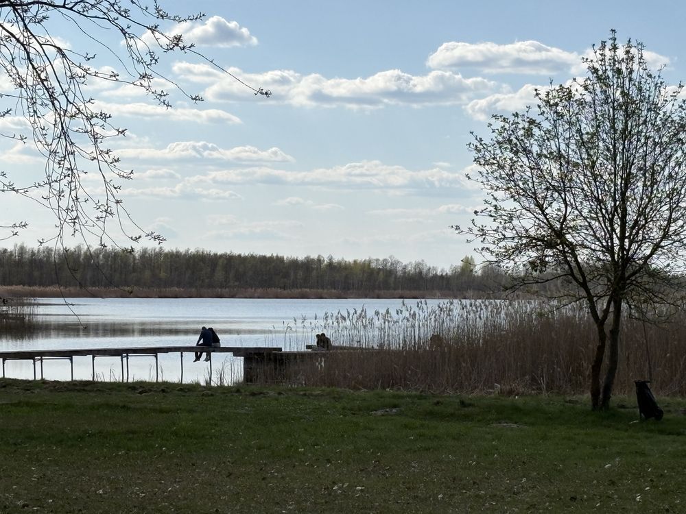 Działka leśna Sumin. Zdjęcie 1