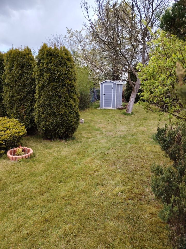 Działka rod Balin. Zdjęcie 5