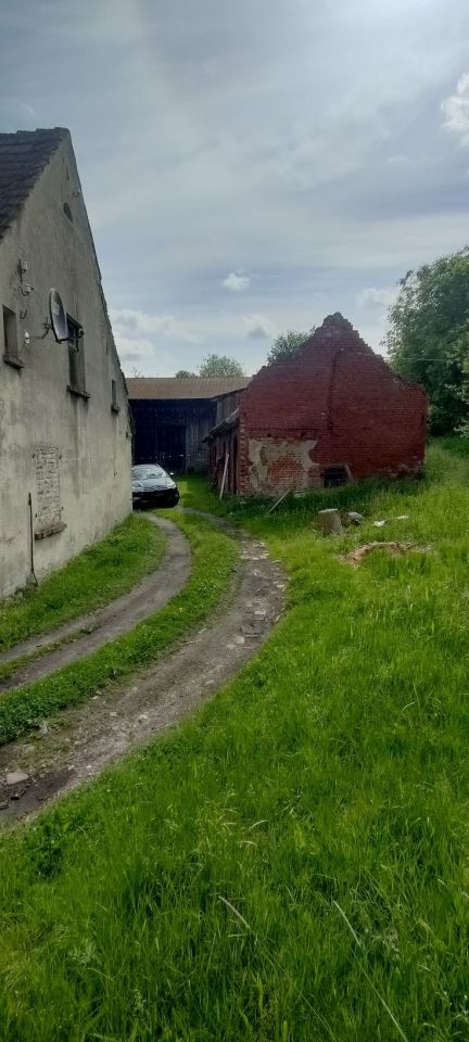 bliźniak Lejkowo. Zdjęcie 5