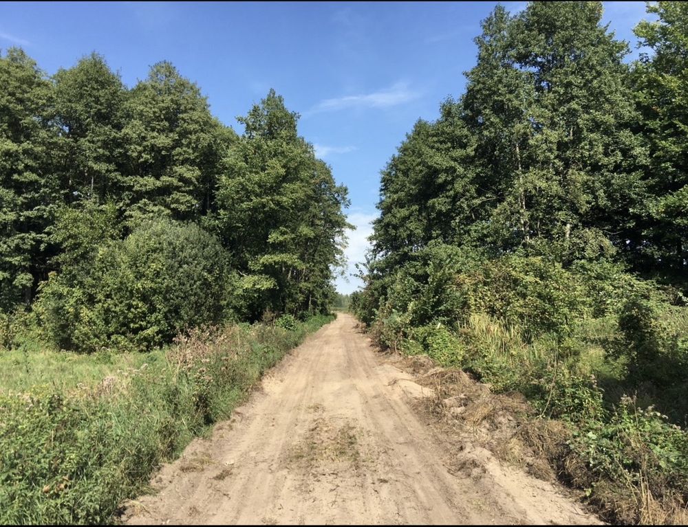 Działka siedliskowa Pasynki. Zdjęcie 6