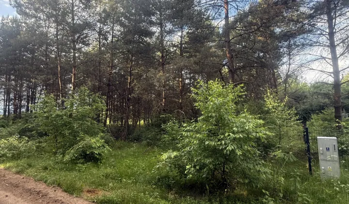 Działka budowlana Nekielka, ul. Strusia