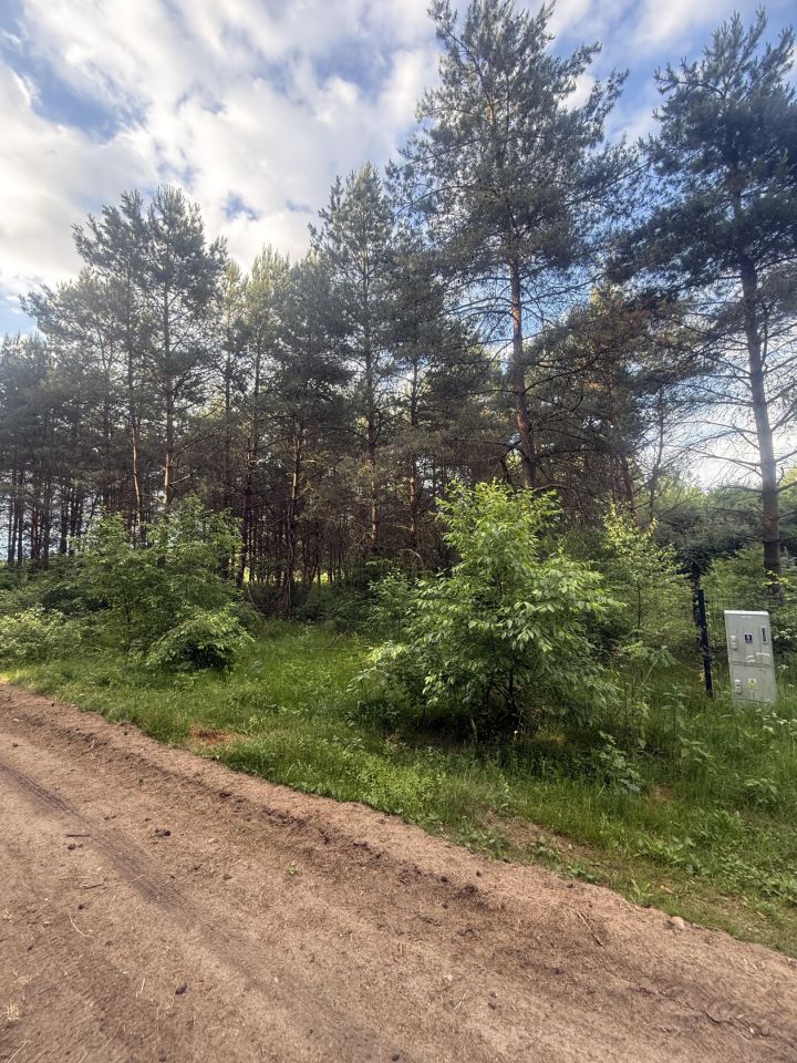 Działka budowlana Nekielka, ul. Strusia. Zdjęcie 1