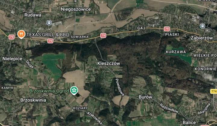 Działka leśna Kleszczów