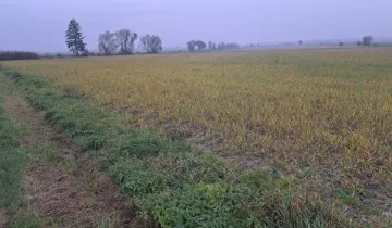 Działka na sprzedaż bez pośredników 
 
 Młynica - Widok 5