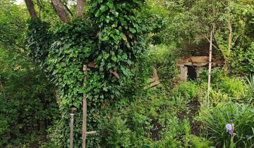 Działka rod Wałbrzych, ul. marsz. Józefa Piłsudskiego