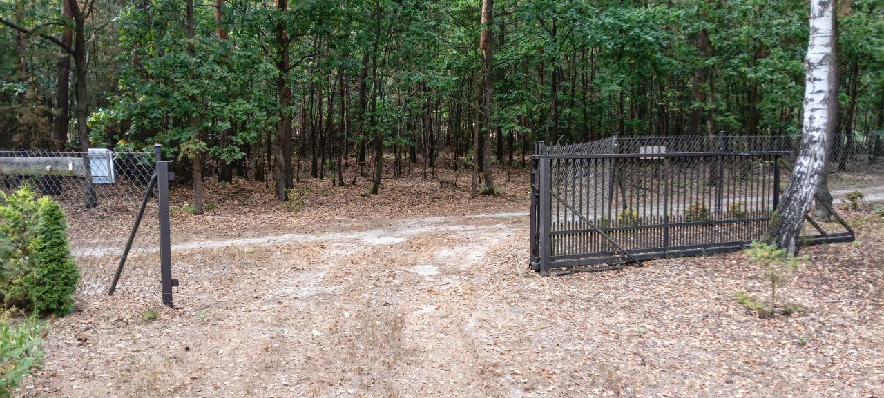 Działka leśna Tyborów. Zdjęcie 7