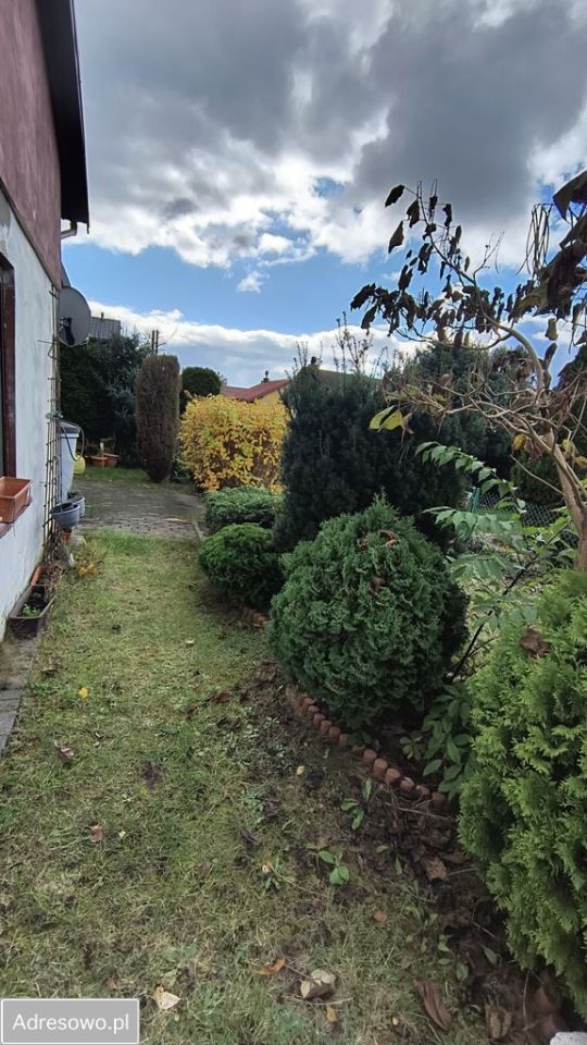 Działka rod Poraj. Zdjęcie 10