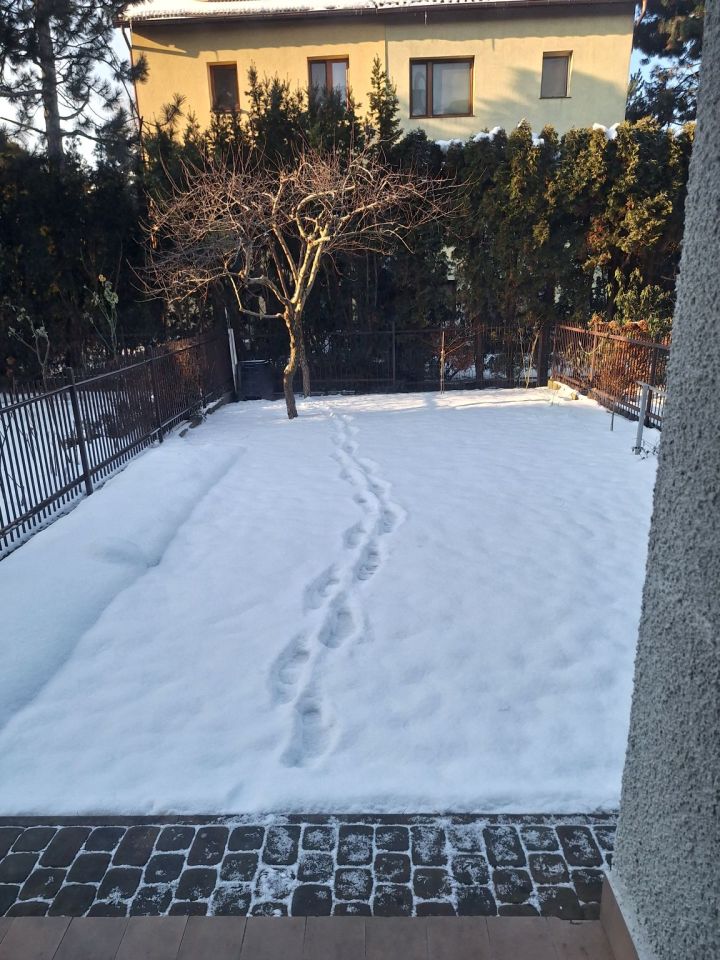 dom szeregowy, 6 pokoi Pruszków Ostoja. Zdjęcie 5