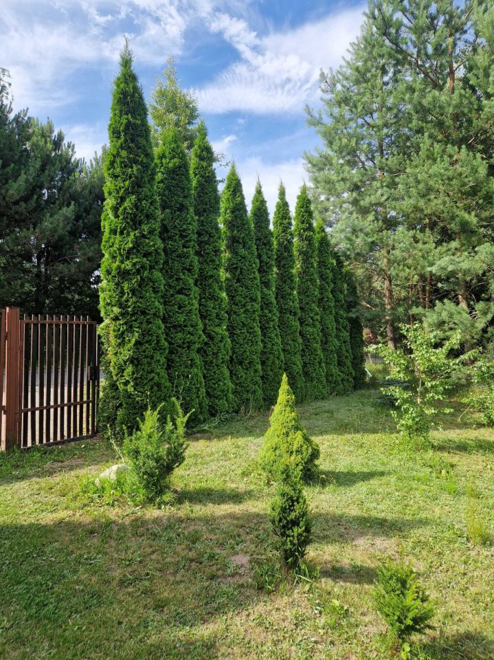 Działka rekreacyjna Rypin. Zdjęcie 2