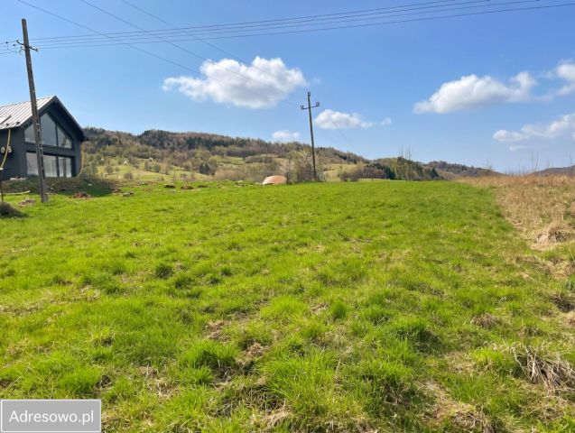 Działka inwestycyjna Tylmanowa. Zdjęcie 1