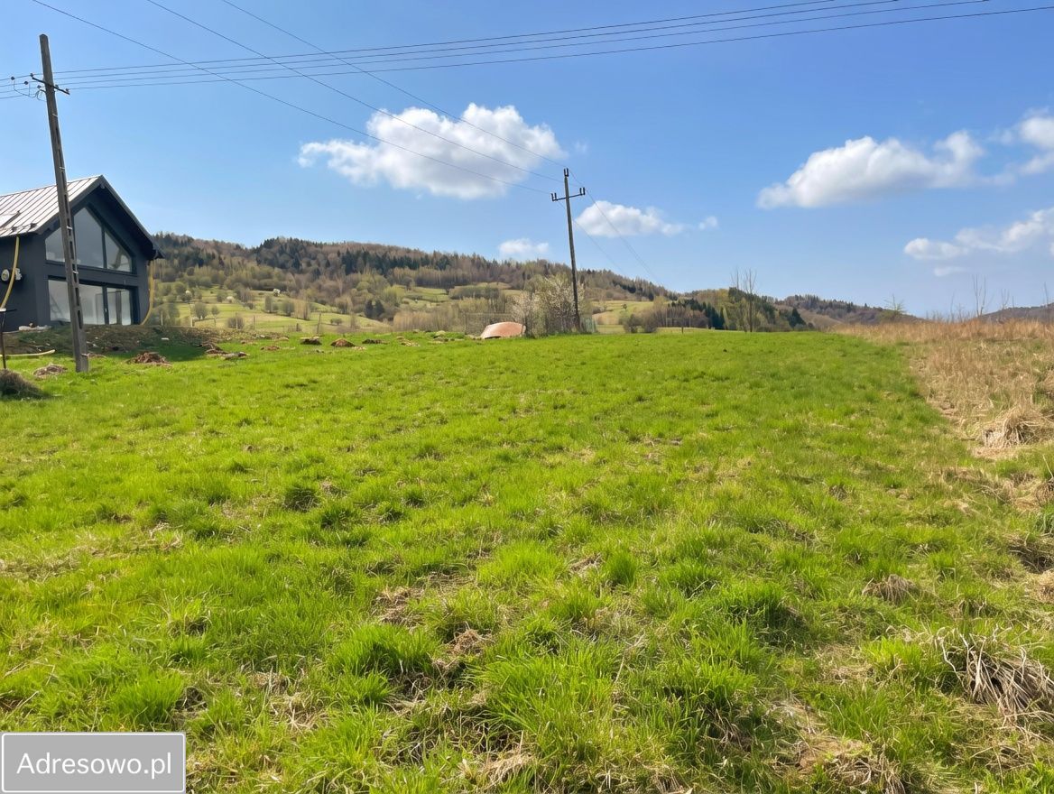 Działka inwestycyjna Tylmanowa. Zdjęcie 1