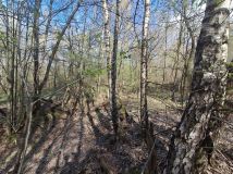 Działka leśna Lipnica Dolna, BRAK. Zdjęcie 4