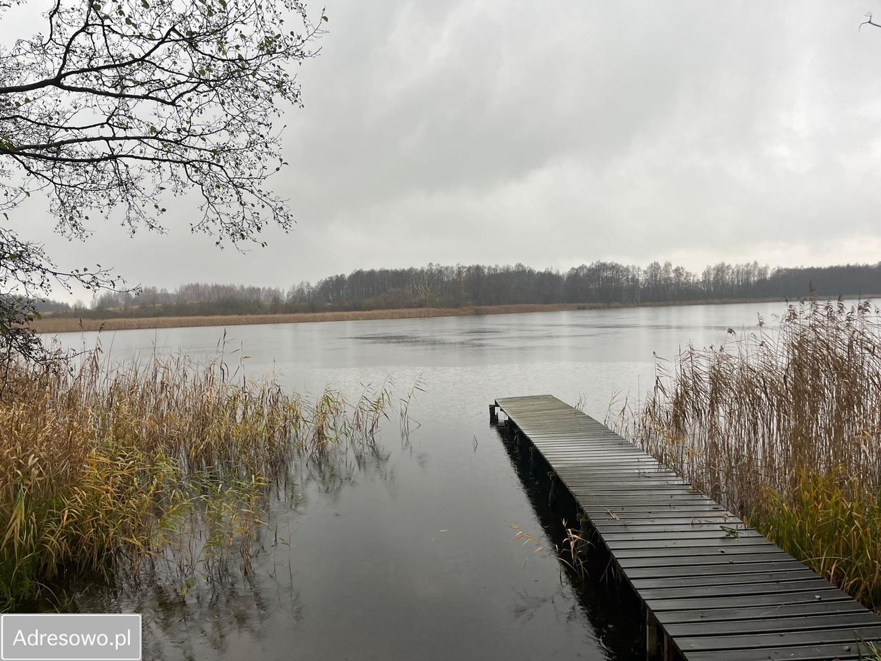 Działka inwestycyjna Stręgiel. Zdjęcie 2