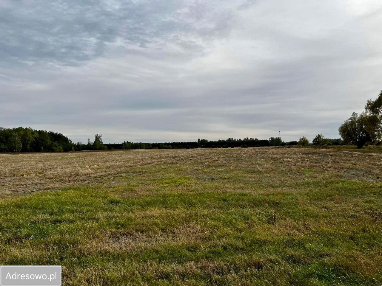 Działka rolna Małopole. Zdjęcie 5