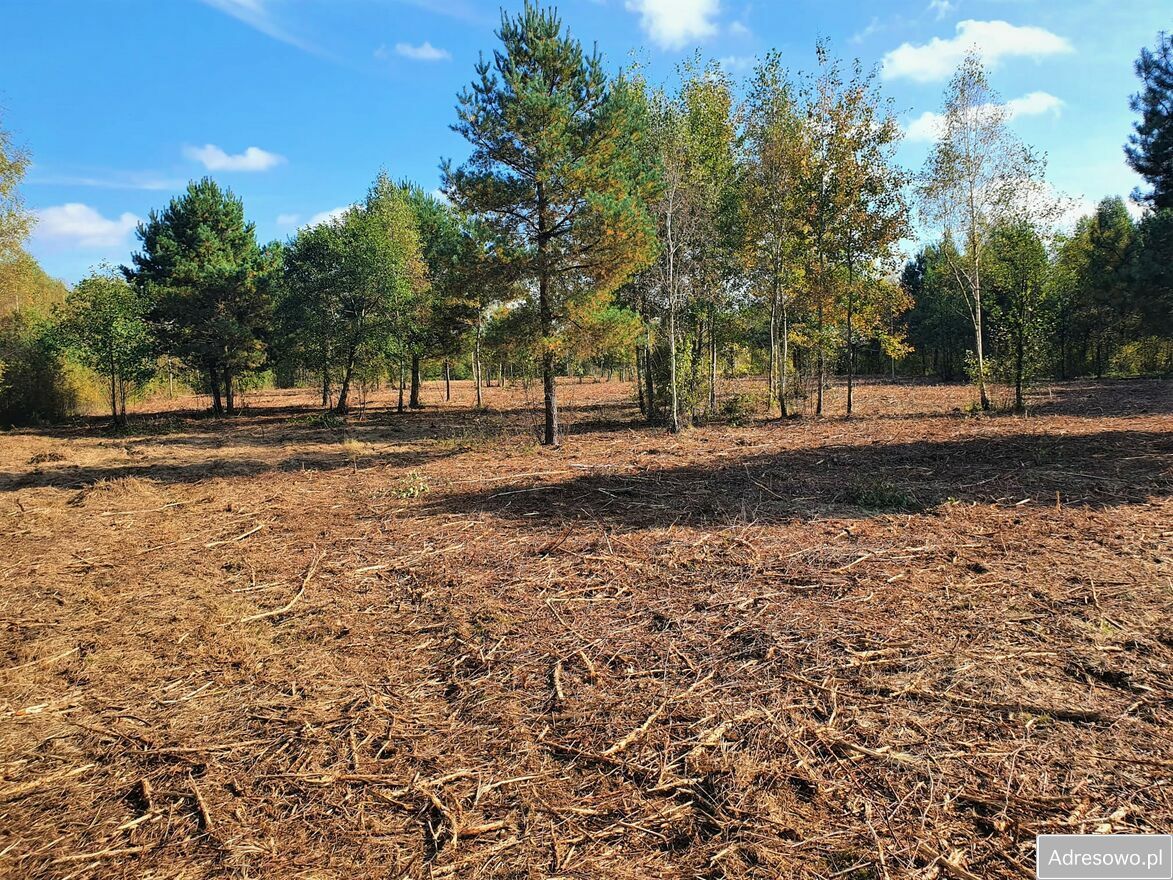 Działka rekreacyjna Franciszków. Zdjęcie 3