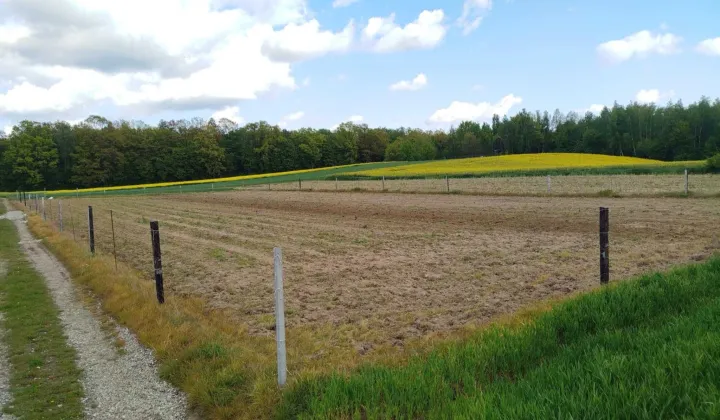 Działka rekreacyjna Nowy Gaj