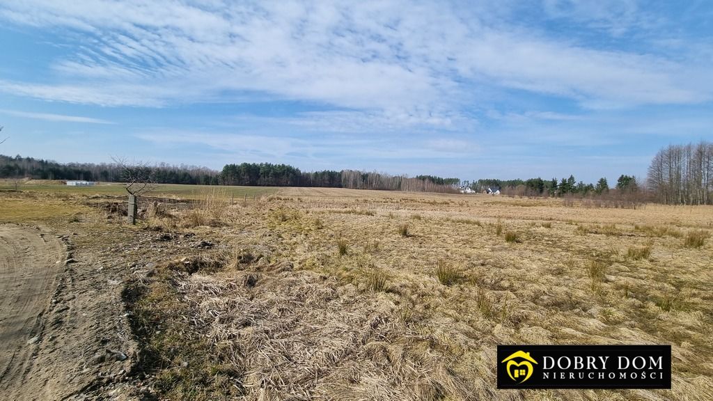 Działka budowlana Skrybicze. Zdjęcie 3