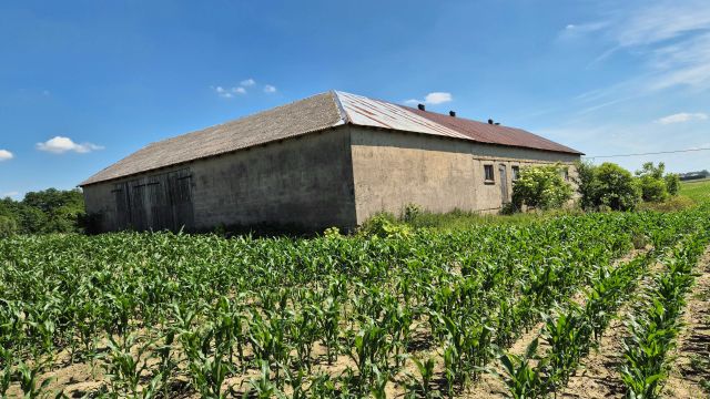 siedlisko Ruże. Zdjęcie 1