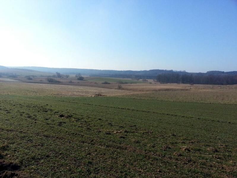 Działka rolna Żydowo. Zdjęcie 5