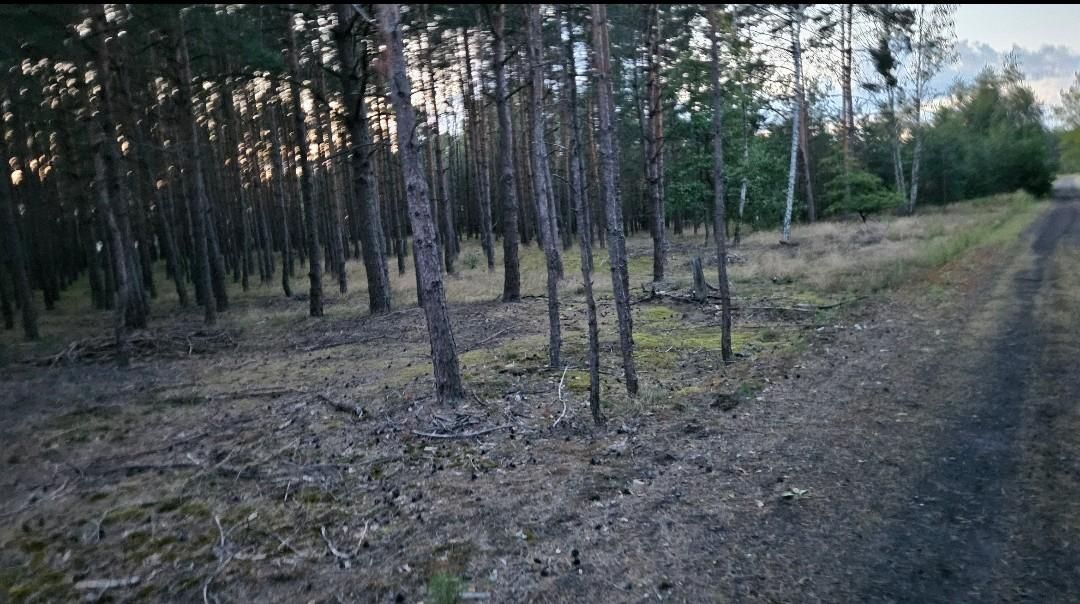 Działka budowlana Solec Kujawski, ul. Garbary. Zdjęcie 10