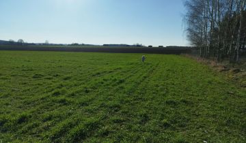 Działka budowlana Dobrzyniewo Duże, ul. Białostocka