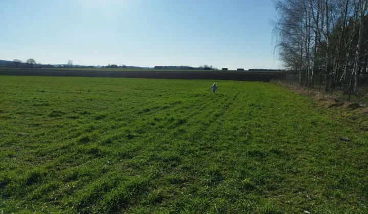 Działka budowlana Dobrzyniewo Duże, ul. Białostocka