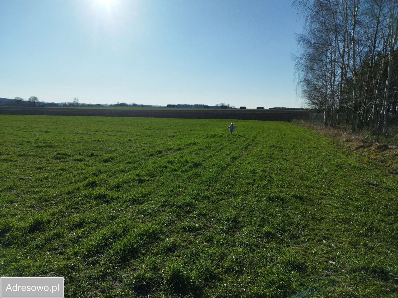 Działka budowlana Dobrzyniewo Duże, ul. Białostocka