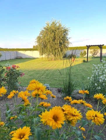 dom wolnostojący, 4 pokoje Siedliska, ul. Kasztanowa. Zdjęcie 7