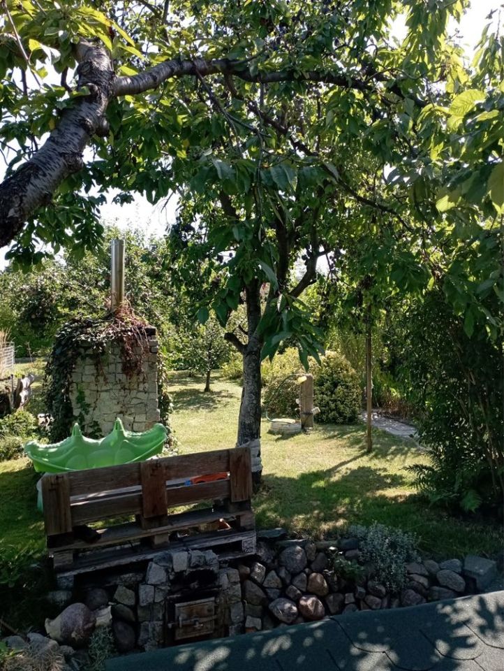 Działka rod Żary, ul. Wiśniowa. Zdjęcie 3