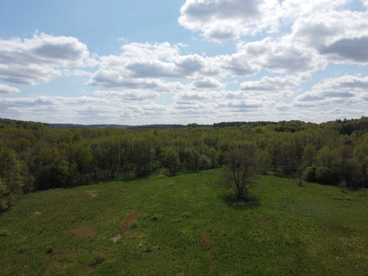 Działka rolna Krąg. Zdjęcie 4