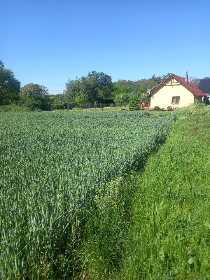 Działka budowlana Pysząca. Zdjęcie 2