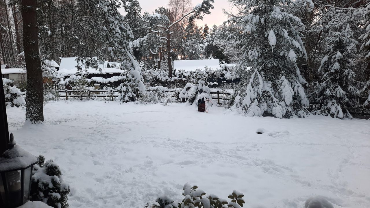 Działka rekreacyjna Zbychowo, ul. Sosnowa. Zdjęcie 12