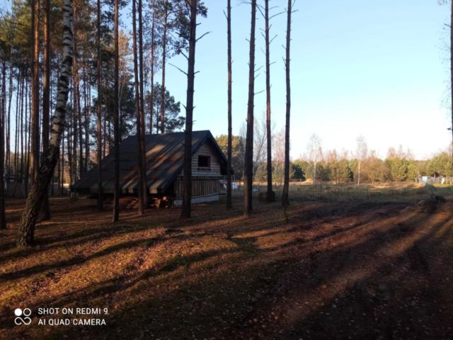 Działka leśna Karolinów. Zdjęcie 1