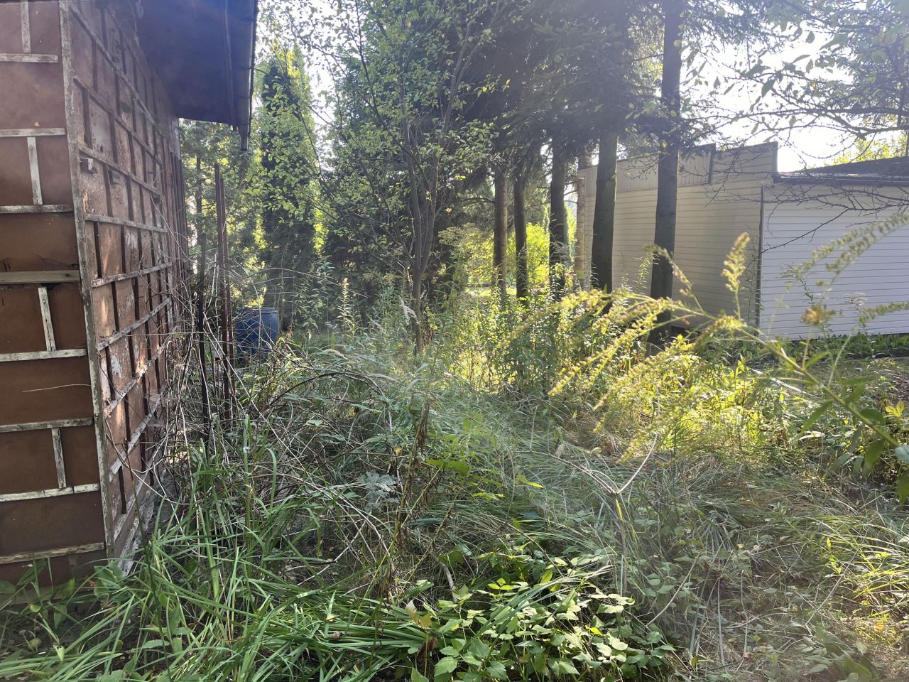 Działka rod Łódź Księży Młyn, ul. Milionowa. Zdjęcie 6