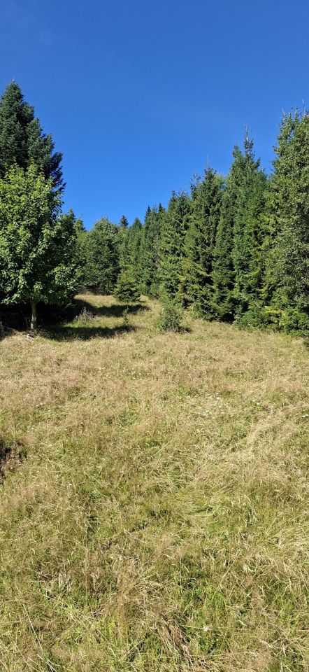 Działka inna Sopotnia Wielka Góra. Zdjęcie 4