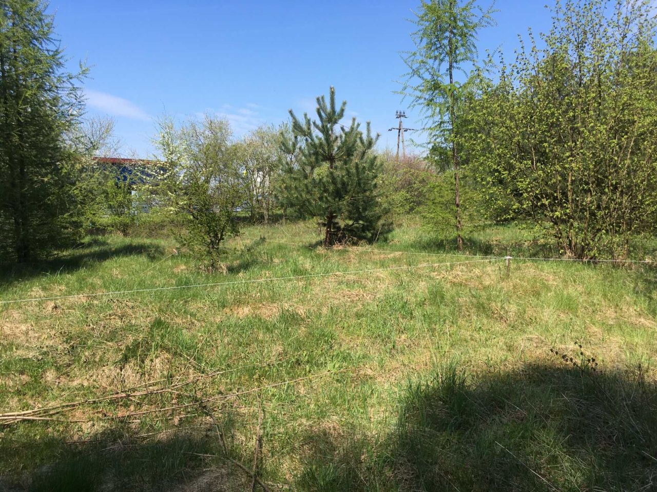 Działka budowlana Sokołów Podlaski, ul. Olszowa. Zdjęcie 4