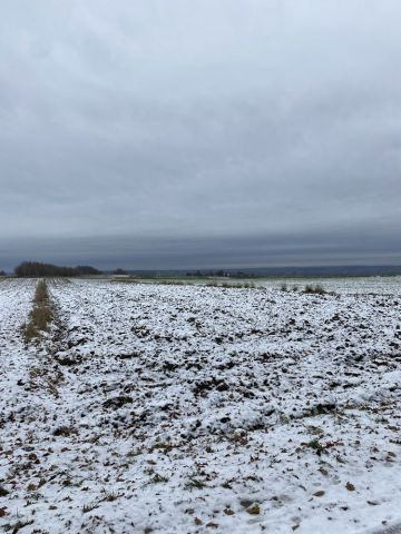 Działka rolno-budowlana Dosłońce. Zdjęcie 1