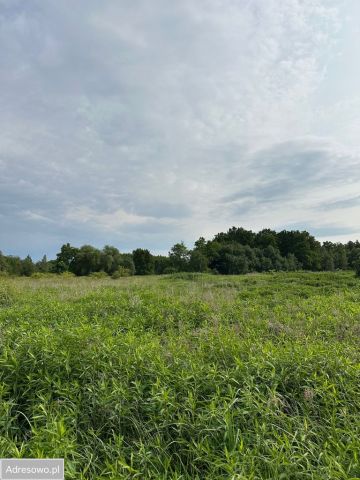 Działka inwestycyjna Wrocław Jerzmanowo, ul. Piołunowa. Zdjęcie 1