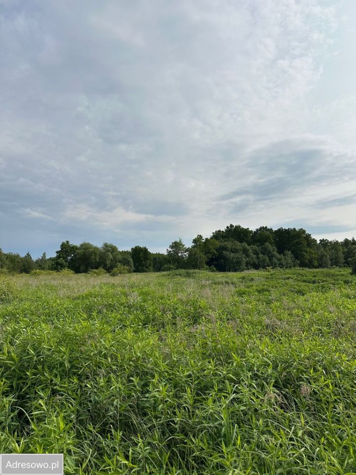 Działka inwestycyjna Wrocław Jerzmanowo, ul. Piołunowa