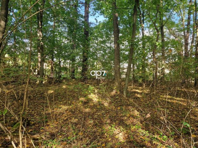 Działka inna Tenczynek, ul. Stanisława Pareńskiego. Zdjęcie 3