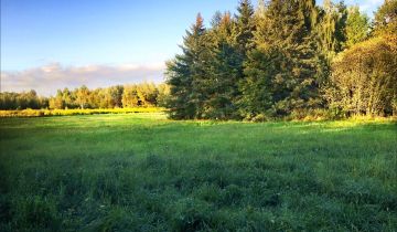 Działka siedliskowa Skuły