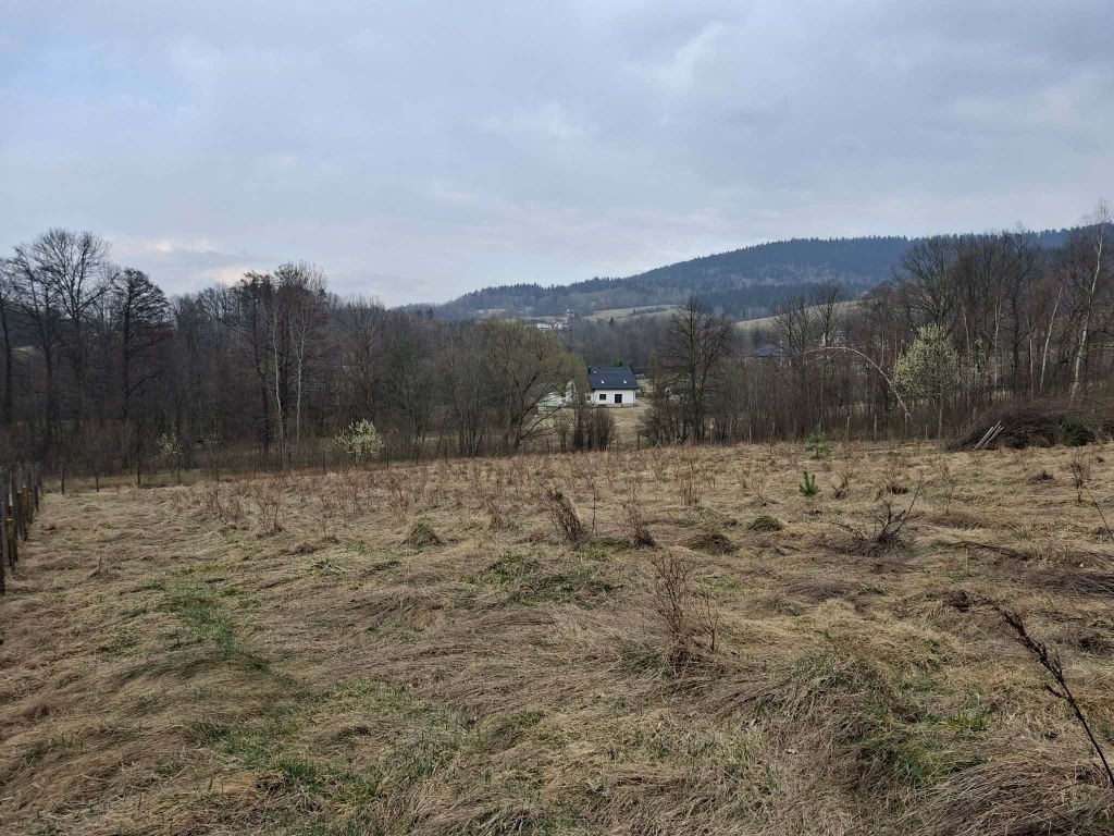 Działka rolno-budowlana Polna. Zdjęcie 5