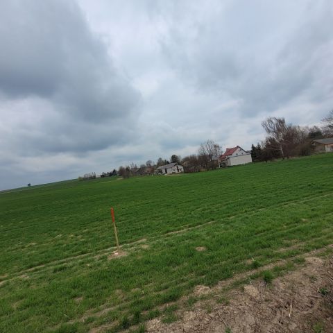 Działka rolno-budowlana Stary Zamość. Zdjęcie 1