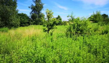 Działka na sprzedaż bez pośredników 
 
 Daszew - Widok 5
